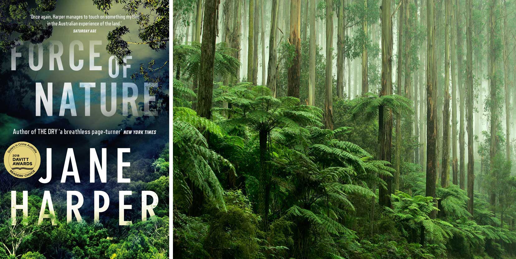 Australian and New Zealand cover for Jane Harper's Force of Nature
