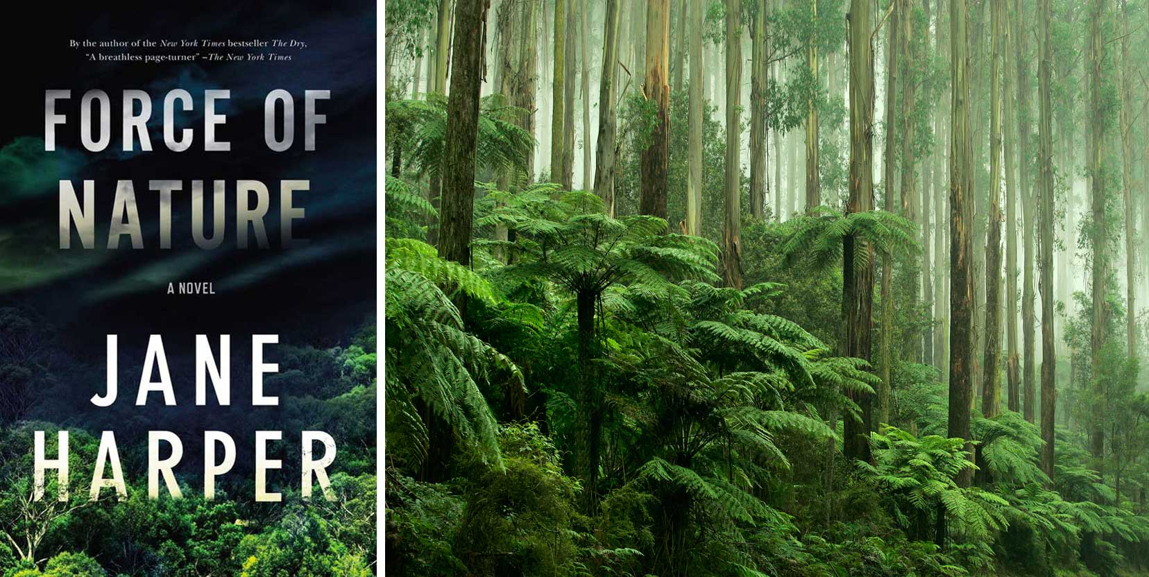 United States and Canada cover for Jane Harper's Force of Nature